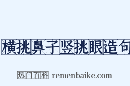 横挑鼻子竖挑眼造句是什么意思的图片